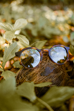 Imagen de Colección Miukh - “AMAZONIA POLARIZADO”