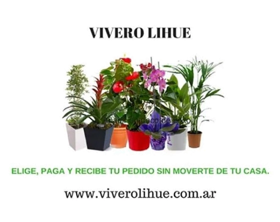 Vivero LIHUE