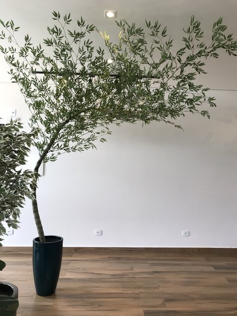 Bambu mosso artificial 3,00 metros curvado para Direita