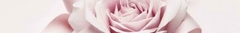 Banner de la categoría Lancome