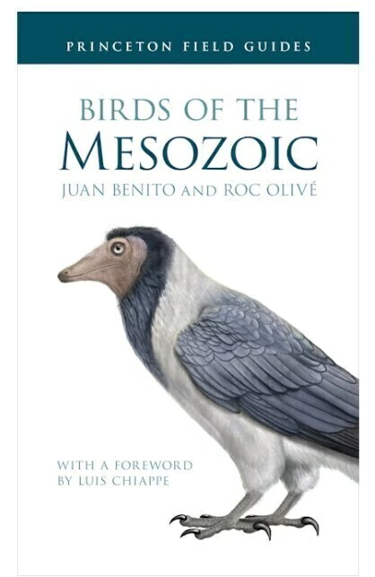 Birds of the Mesozoic (en Inglés)