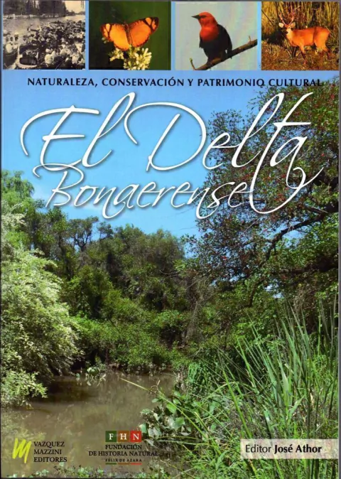 El Delta Bonaerense
