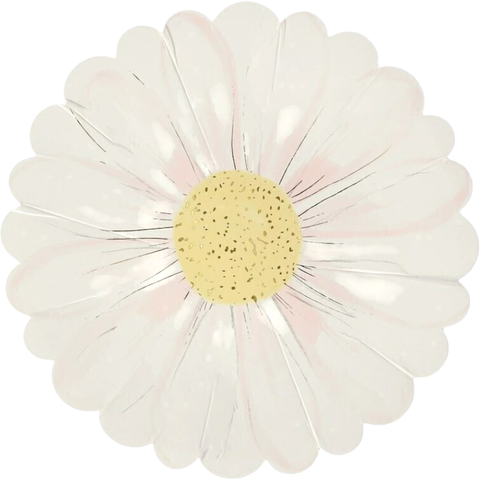 Pratos de papel decorativos da coleção Wild Daisy da Meri Meri dispostos em uma mesa com toalha xadrez rosa claro e elementos florais, ideais para festas temáticas e celebrações delicadas.