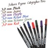 CANETA PIGMA CALLIGRAPHER 30 - SAKURA