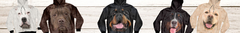 Banner de la categoría Animales