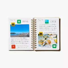 Imagen de Set de stickers pet KITTA Clear