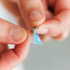 Set de stickers pet KITTA Clear - tienda online