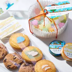 Cinta Pet SODA clear 10 mm width - Casa Washi