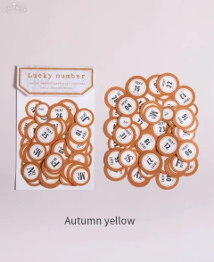 Lucky Number Ephemera x 100 - Casa Washi