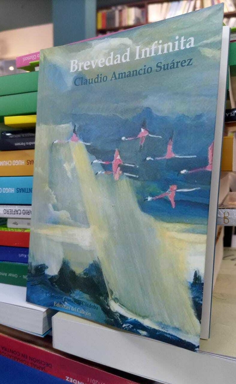 BREVEDAD INFINITA - SUAREZ CLAUDIO AMANCIO