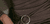 Banner de Lalapont