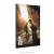 Poster The Last of Us na internet