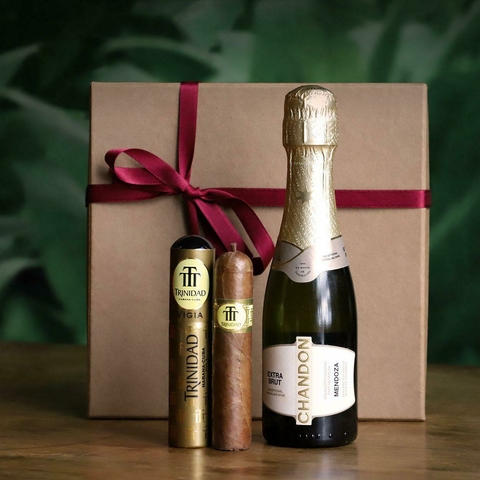 BOX #121 - BRINDIS DE FIN DE AÑO - TRINIDAD VIGÍA EN TUBO + CHANDON EXTRA BRUT