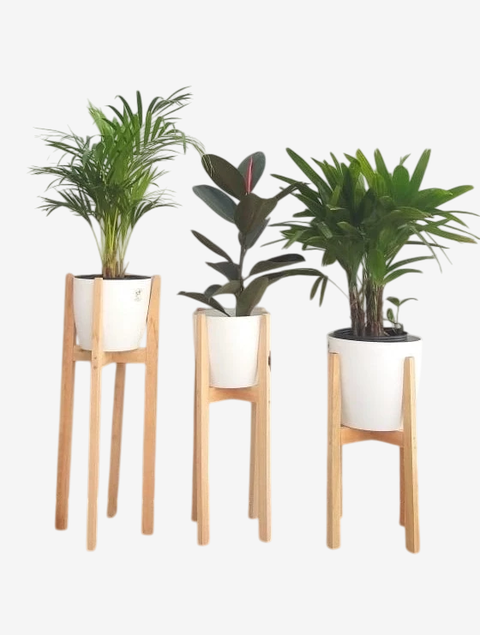 Pie Nórdico - comprar online