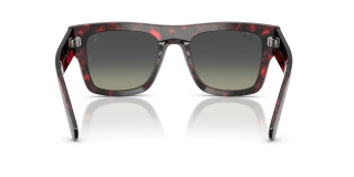 Ray Ban 2217 Home Race Special Edition 70511 53 en internet