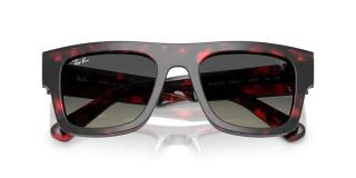 Ray Ban 2217 Home Race Special Edition 70511 53 - comprar online