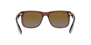 Ray Ban Justin 4165 6597T5 55