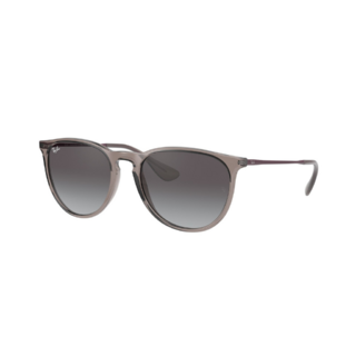 Ray Ban Erika 4171 65138G 54 Ray Ban Erika 4171 65138G 54