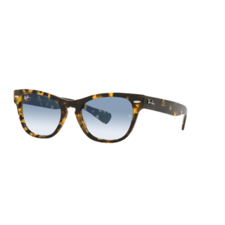 Ray Ban Laramie 2201 13323F 54 Ray Ban Laramie 2201 13323F 54