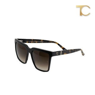 Teresa Calandra Kate Tortoise Teresa Calandra Kate Tortoise