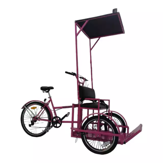 Triciclo Adaptado Butaca Doble Delantera - comprar online