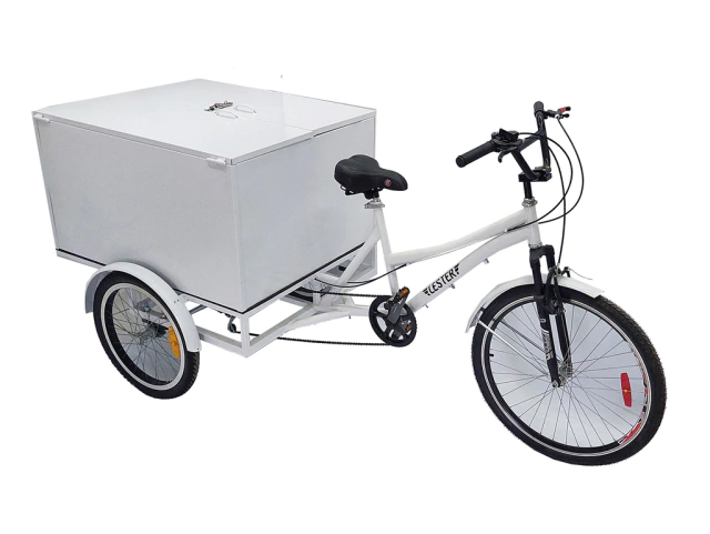 Triciclo Carga Trasera Ancha Caja Cerrada - comprar online