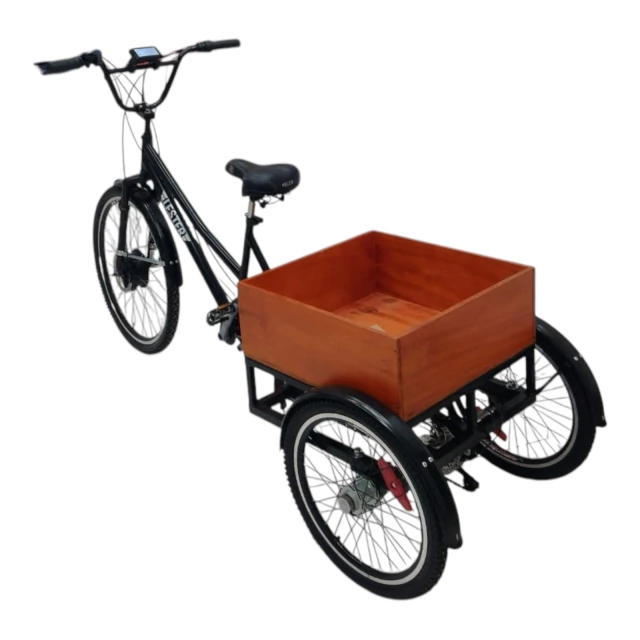 Triciclo Eléctrico de Paseo en internet