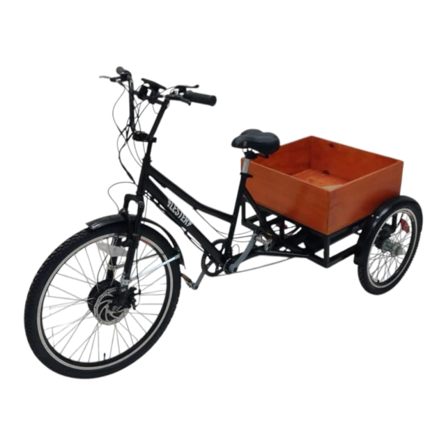 Triciclo Eléctrico de Paseo