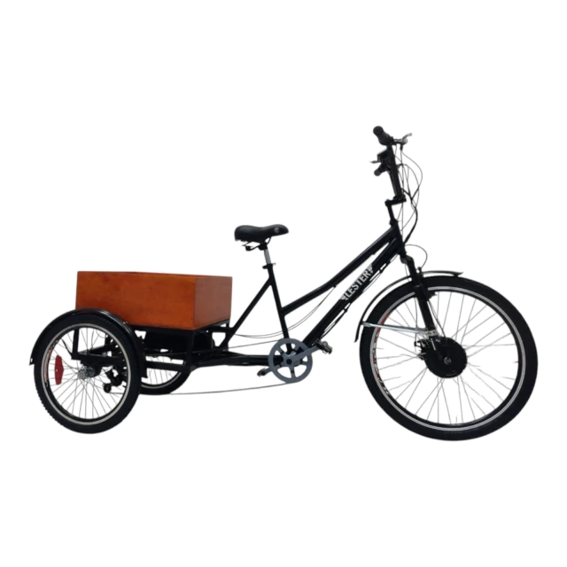 Imagen de Triciclo Eléctrico de Paseo