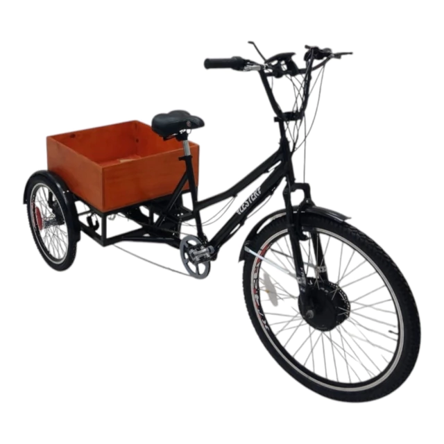 Triciclo Eléctrico de Paseo - tienda online
