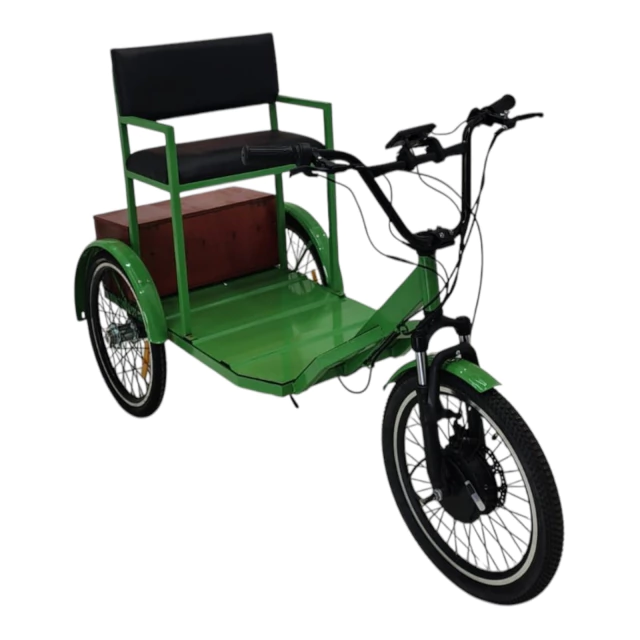 Triciclo Eléctrico Ortopédico en internet