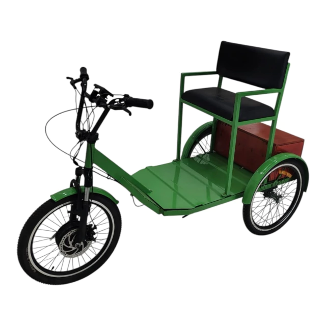 Triciclo Eléctrico Ortopédico - tienda online