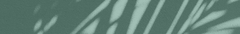 Banner de la categoría Clutches