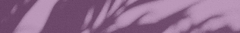 Banner de la categoría Valijas