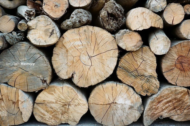 Centuria DNP - Filme 35mm / Colorido / 36p / Iso 100 (vencido em 2010) - loja online