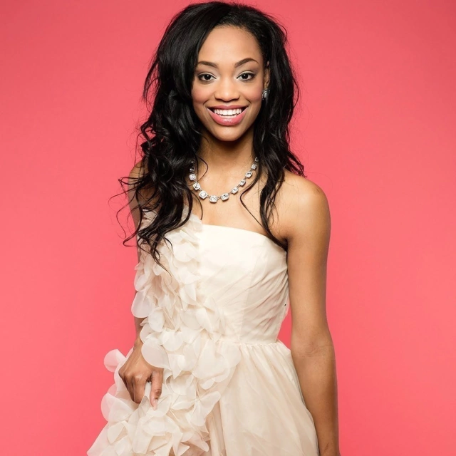 SA 92 Flamingo - Fundo Infinito de Papel 2,72 X 11m SAVAGE (importado) na internet