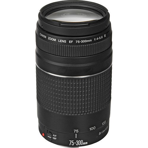 Lente Canon EF 75-300mm f/4-5.6 III Lente Canon EF 75-300mm f/4-5.6 III