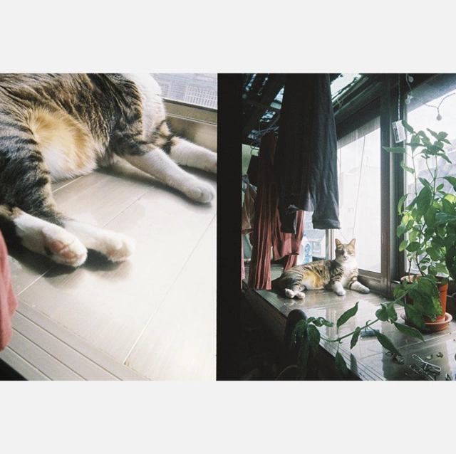 Imagem do Camera de Filme Reutilizável Kodak Ektar H35 Half Frame - White (Analógica 35mm c/ Flash)