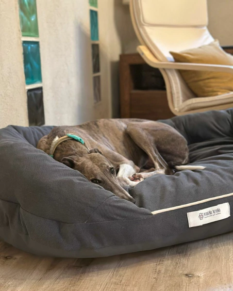 Momo - comprar online