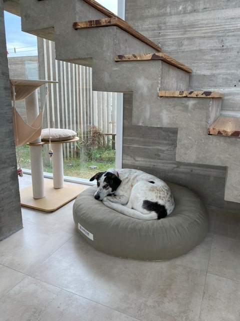 Mona COMPLETA + funda ADICIONAL