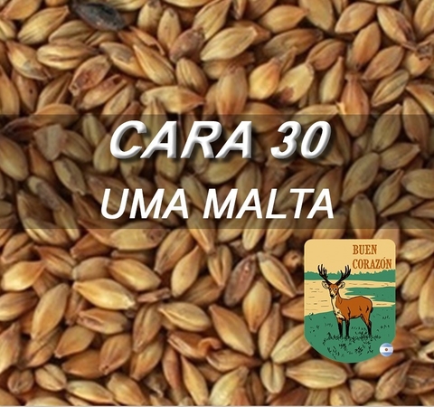 Malta Caramelo 30 UMA Malta