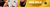 Banner de la categoría Bee Gold