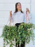 COLUMNEA - comprar online
