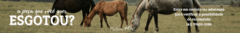 Banner da categoria BICHINHOS