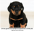 Banner de PrimePet-Fabrica de productos para mascotas-fabrica de camas para perros y gatos-camas ortopedicas para perros