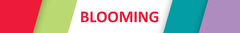Banner de la categoría Blooming