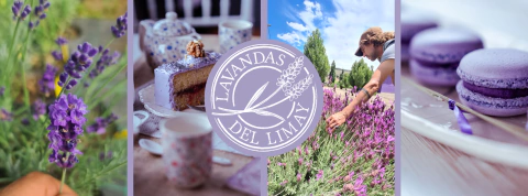 Imagen del carrusel Lavandas del Limay - Parque de Lavanda Agroecologico