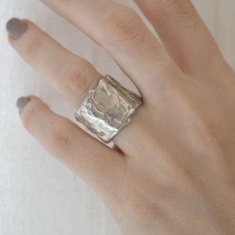 Anillo Tronco Plata 925