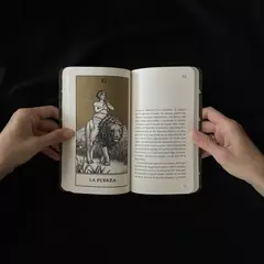 Los Arcanos mayores del tarot - Nina Bunjevac en internet