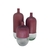 Vaso Secos e Molhados - comprar online